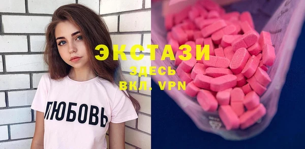 шишки Медвежьегорск