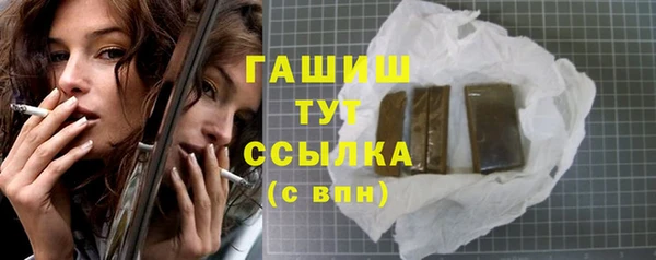 гидра Бородино
