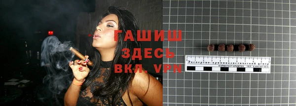 гидра Бородино