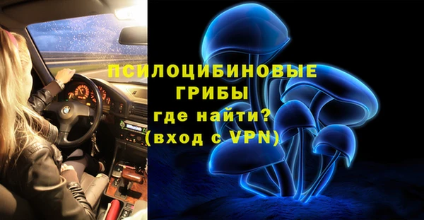 гидра Бородино